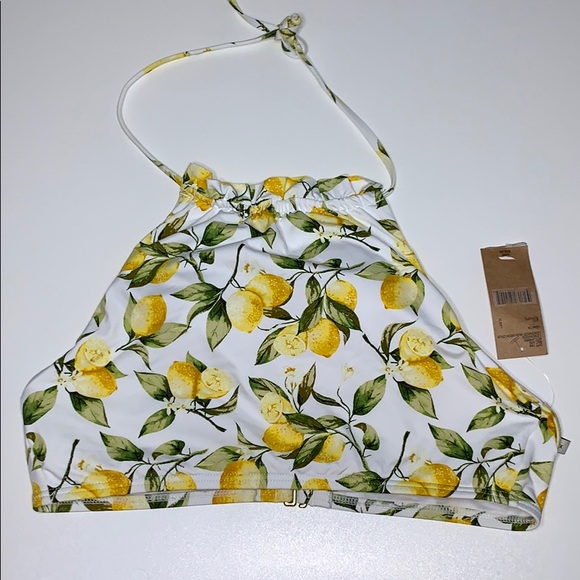 Daniel Cremieux Other - Daniel Cremieux Swimsuit Bikini Top Size Large New